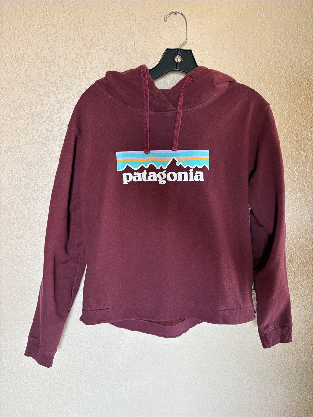 Patagonia Women's Burgundy Pullover Hoodie with Multicolor Logo